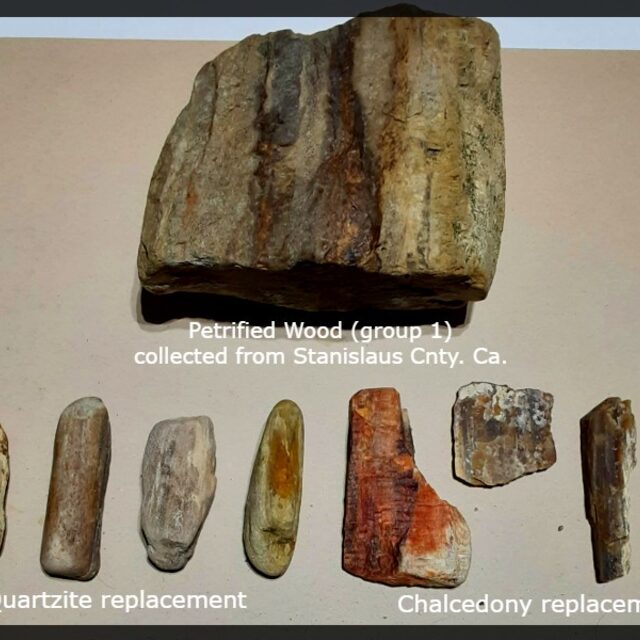 Petrified Wood(s) group 1  Key: 14